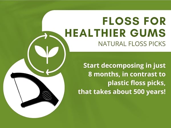 Text reads 'FLOSS FOR HEALTHIER GUMS', 'NATURAL FLOSS PICKS', 'Start decomposing in just 6 months, in contrast to plastic floss picks, that takes about 500 years'. Green background with white floss pick illustration.
