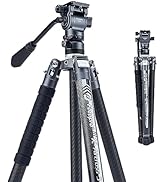 Fotopro Carbon Fiber Tripod 2.3lbs Ultralight 62 Inch Portable Travel Video Tripod for Camera DSL...