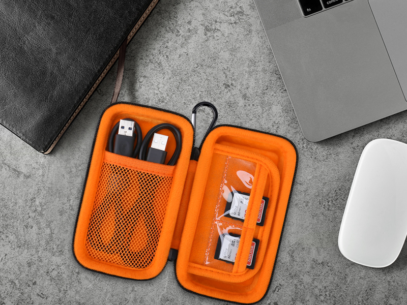 sandisk ssd carrying case