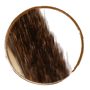 dust brush