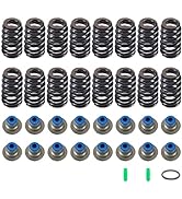 FGJQEFG .560" Lift Valve Spring Set Compatible with 02-20 UP GM Chevrolet Gen II III IV LS Engine...