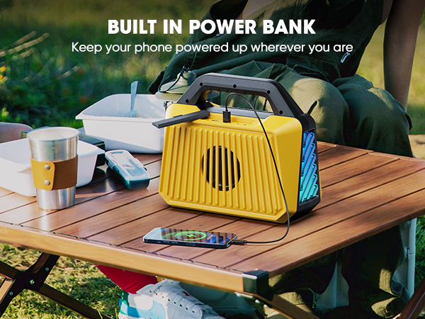 Power bank