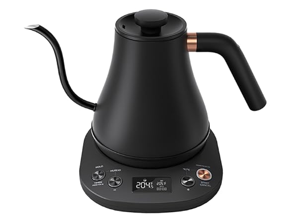Mecity Electric Kettle