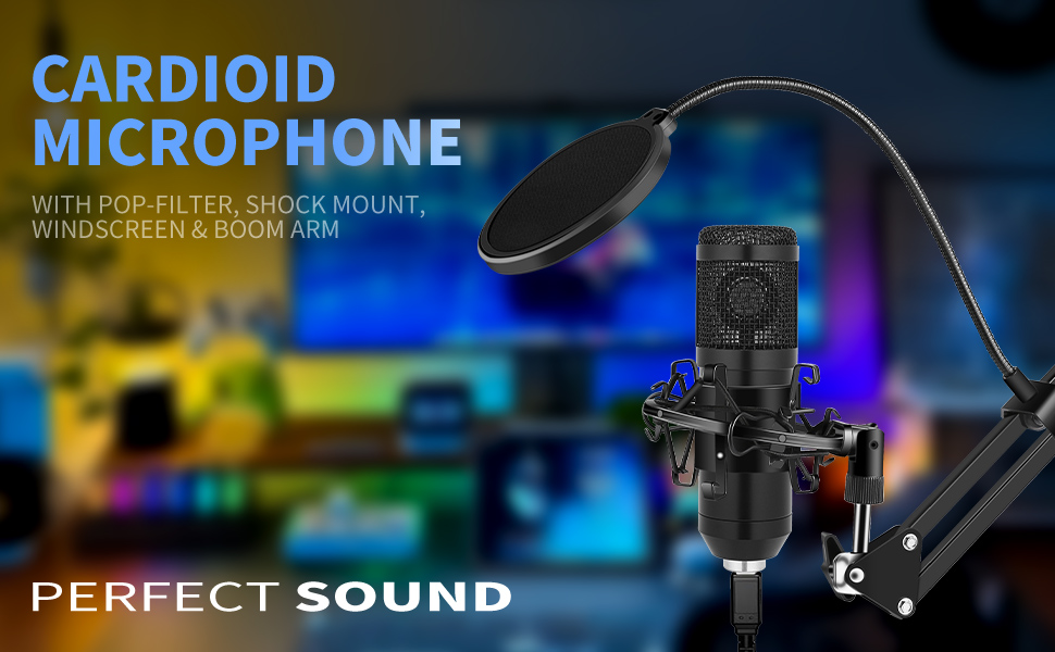 Condenser Microphone