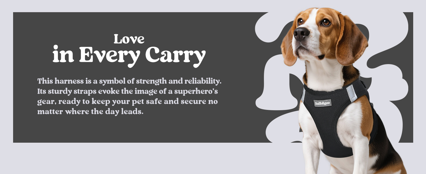 black harness for small dogs