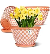 Nooulap 4 Pack 10 Inch Flower Pots with Drainage, Plastic Planters for Indoor Outdoor Plants, Ora...