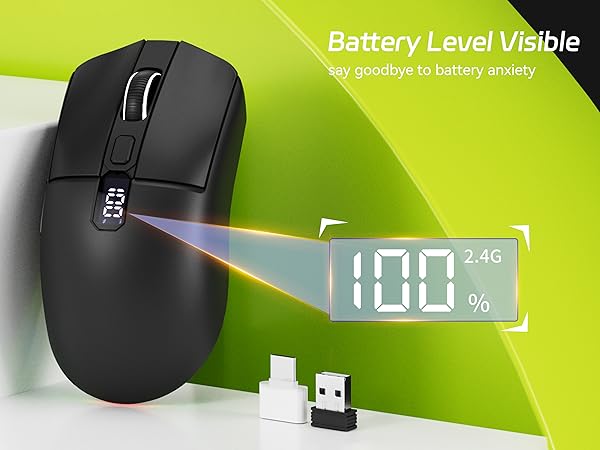 mouse