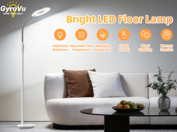 Floor Lamp for Living Room