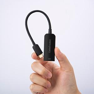 Portable DisplayPort to USB C Adapter