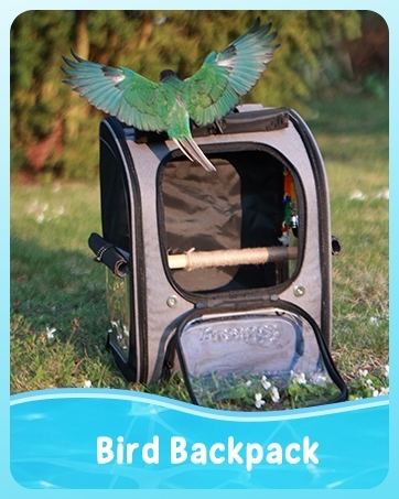 Text reads 'Bird Backpack'. Black and gray pet carrier backpack with open door and mesh ventilation shown in outdoor setting with green bird perched on top.
