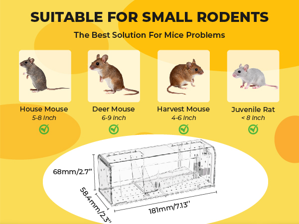 no kill mousetraps