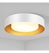 Yasince Modern White and Gold Flush Mount Ceiling Lights, 16.5" Minimalist Drum Round Ceiling Lig...