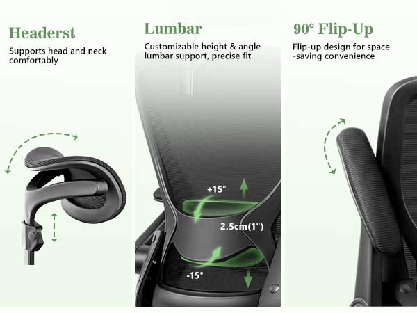 ergonomic office chair