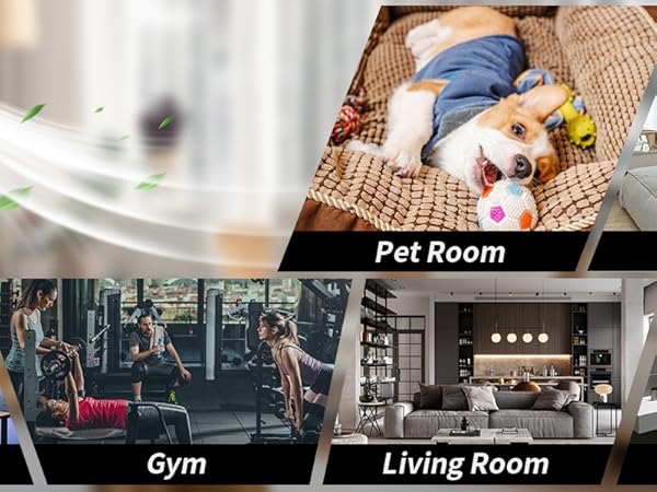 Air freshener dispenser