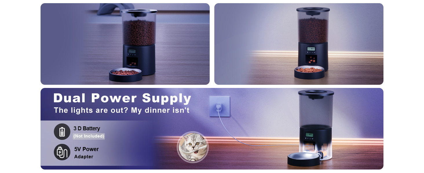 cat smart feeder