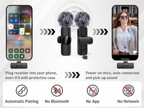 Mini Microphone for iPhone