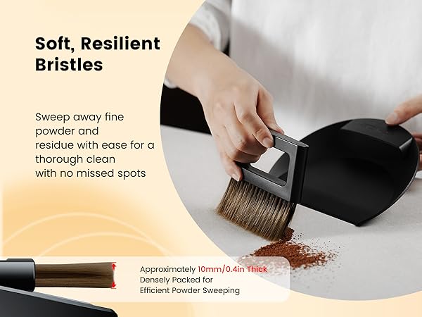 Dustpan and Brush Set