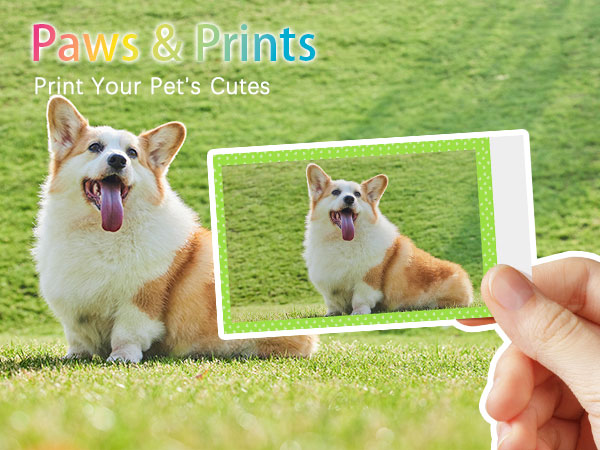 HPRT CP2100 Portable Photo Printer