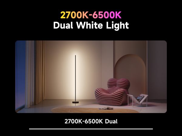 LED Floor Lamp