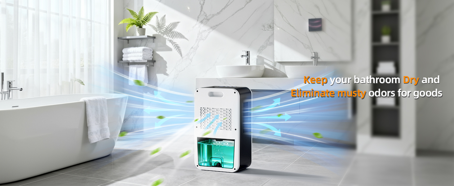 home Dehumidifier