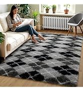 Zentavio Area Rugs for Living Room Rugs for Bedroom 4x6 Carpet Fluffy Fuzzy Soft Shag Aesthetic P...