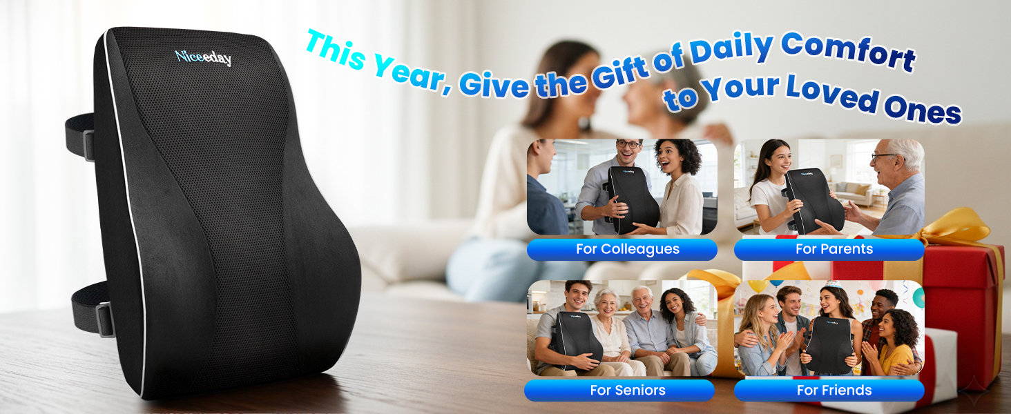 Lumbar Pillow with High Backrest