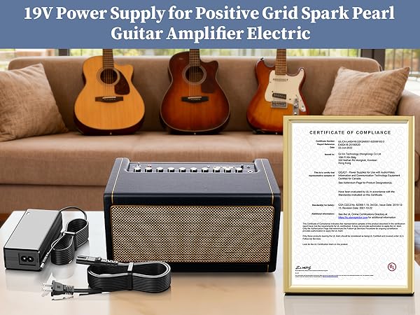 adapter for Positive Grid Spark 40