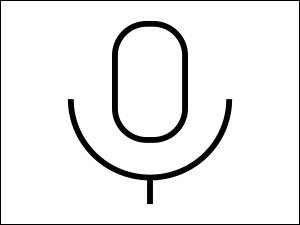 Built-in Mic &amp; Controls