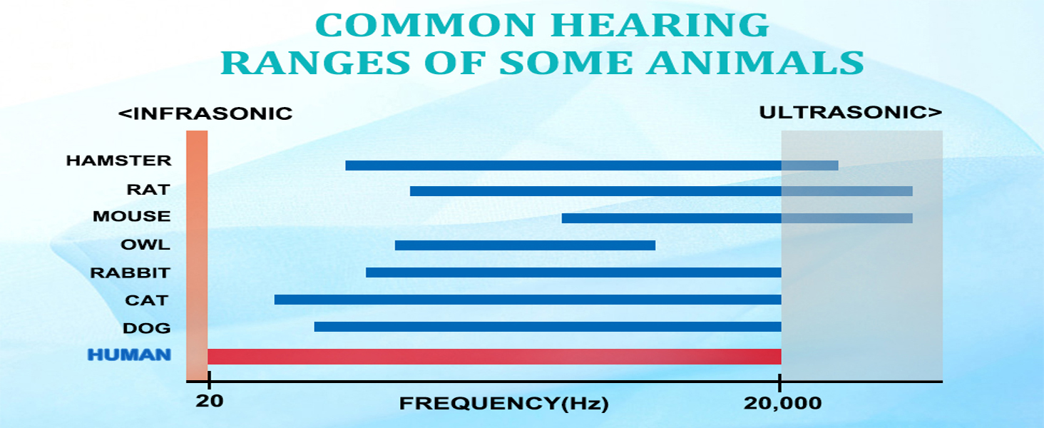 mouse repellent ultrasonic plug in mouse deterrents that work mouse poisoning for indoor use