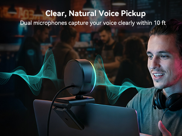 Dual microphones for any camera for computer setup