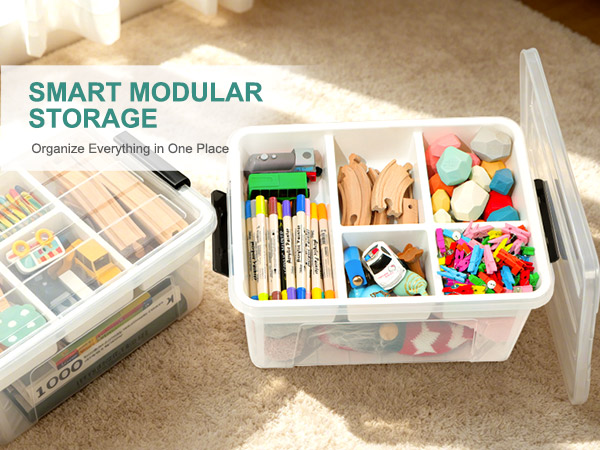 Clear Storage Bins with Lids