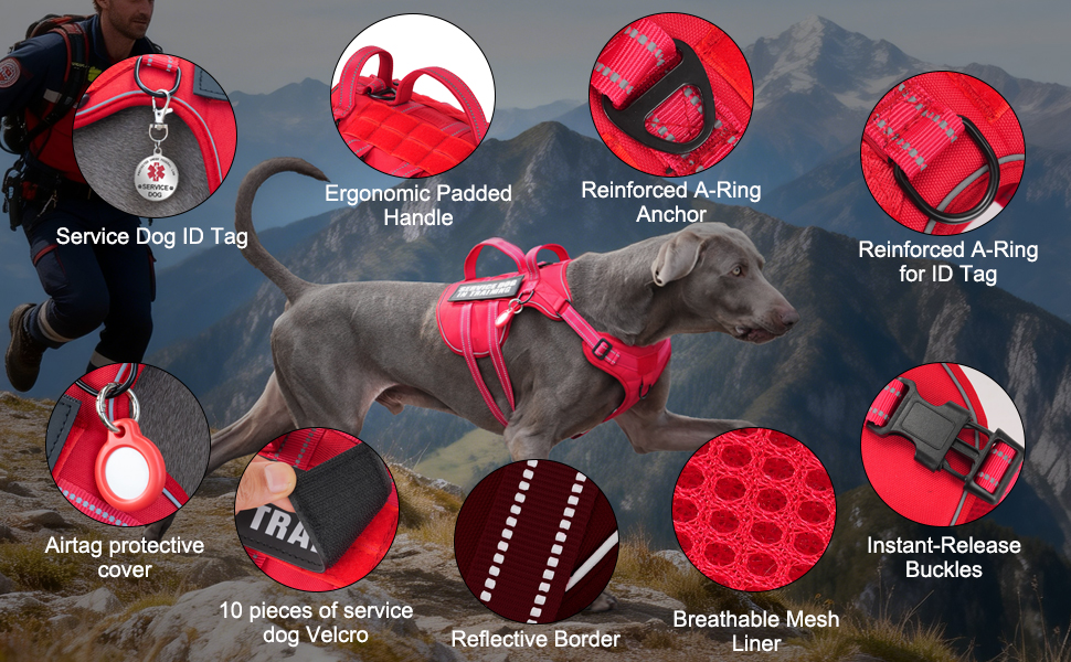 service dog harness
