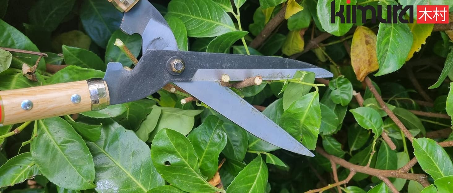 garden shears pruning shears and scissors for gardening and hedges