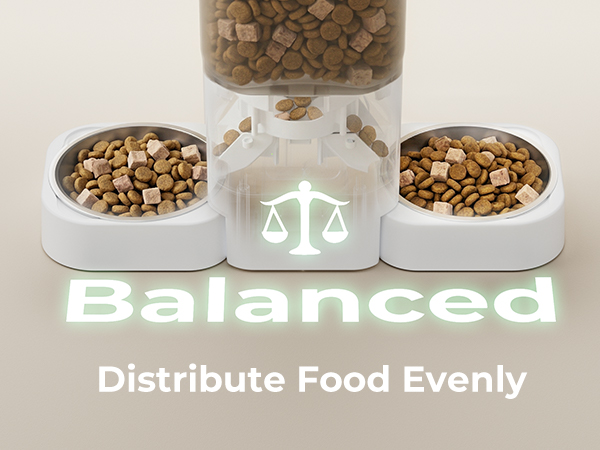 cat automatic feeder