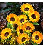 KOOPER Solar Lights Outdoor Garden Decor - Upgraded 3 Pack Solar Garden Lights with 9 Sunflower L...