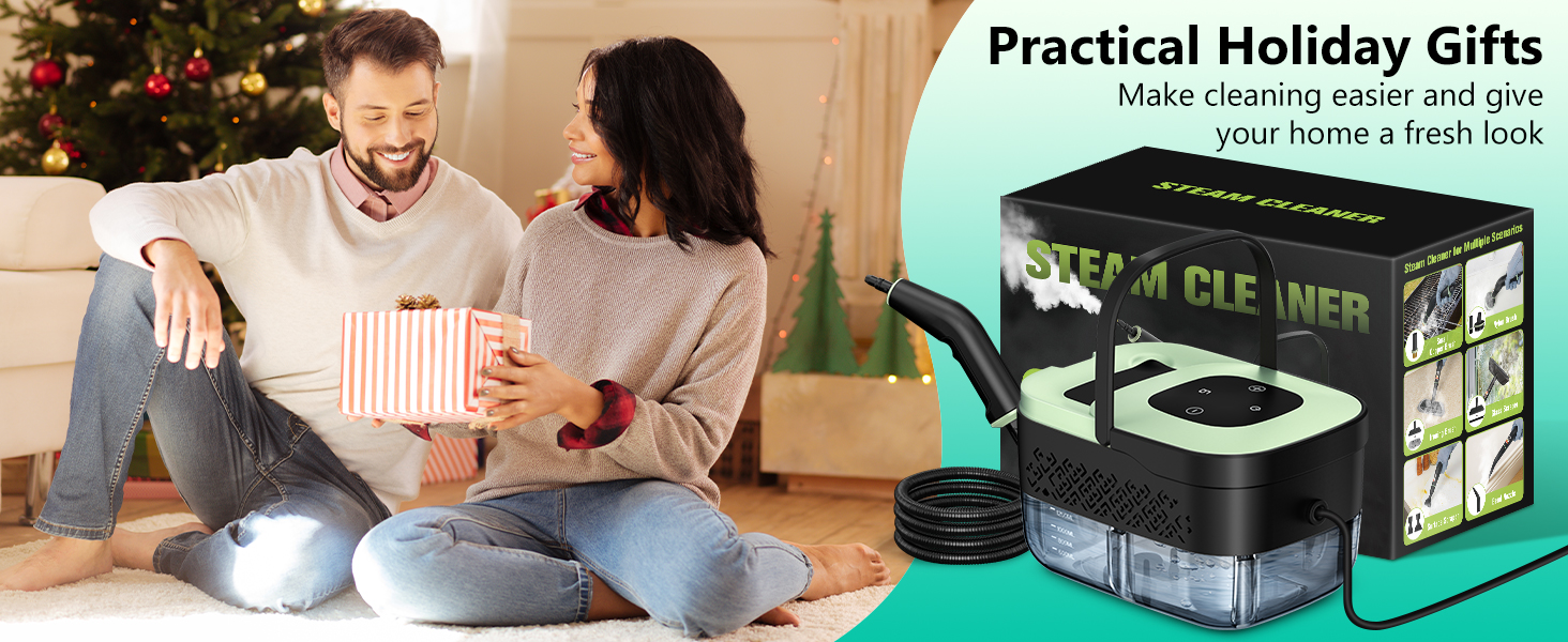 steam cleaner