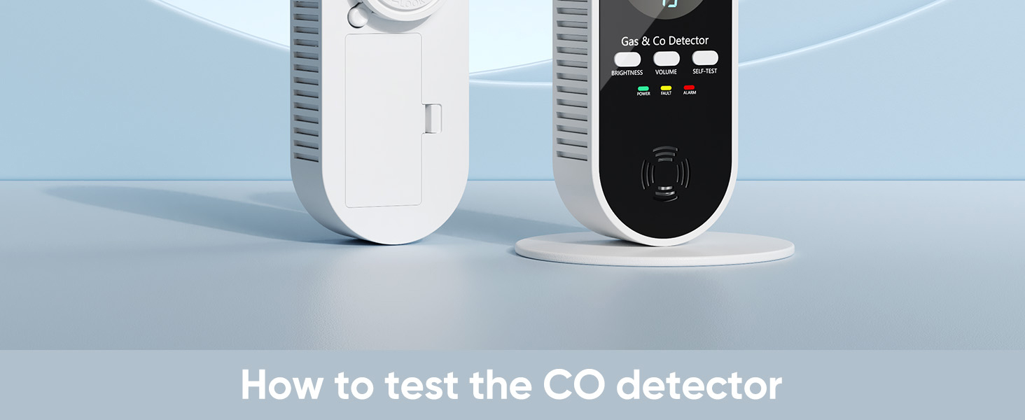 portable carbon monoxide detector