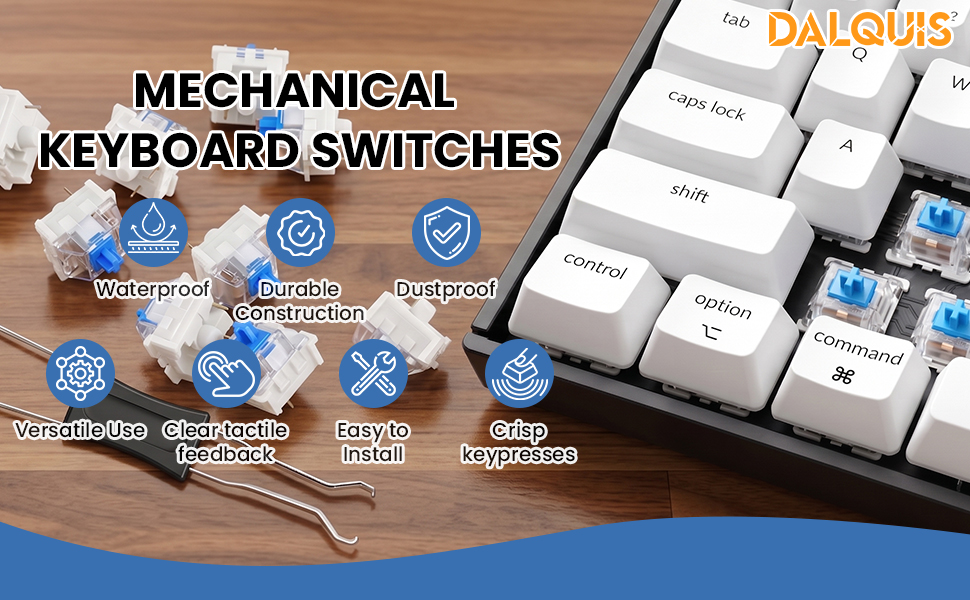 Mechanical Keyboard Switches