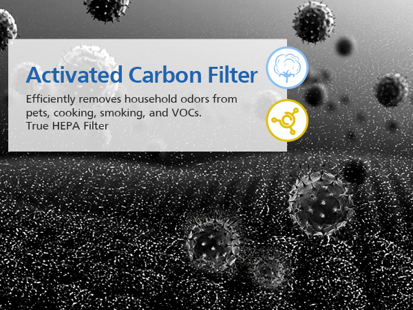 Activated Carbon Filter