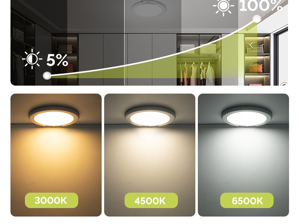attery Operated Ceiling Light with Remote