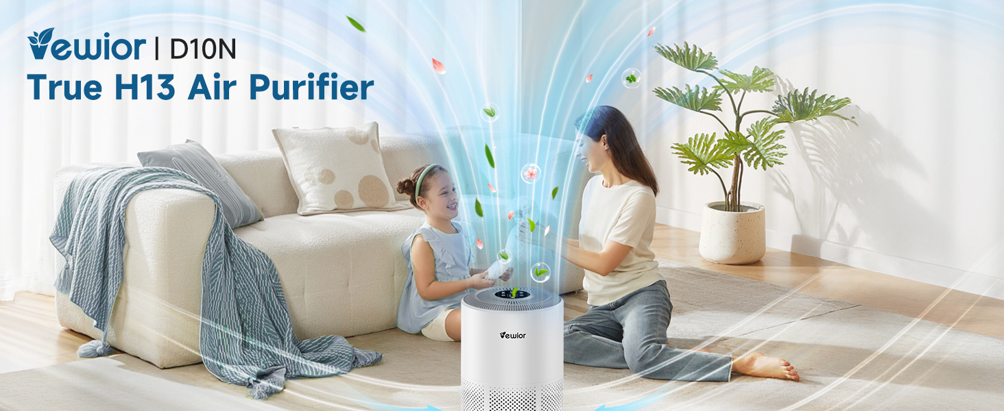 D10N H13 Air Purifier