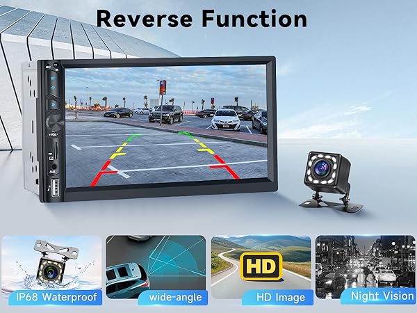 Reversing Camera Input