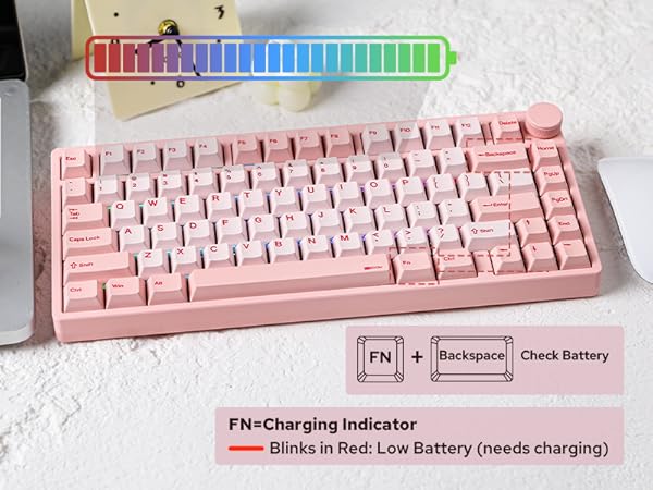 Moonshadow V2 Pink