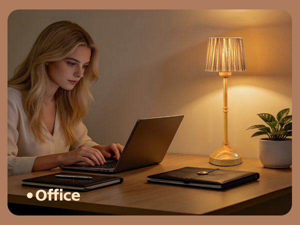 Cordless Lamp for office