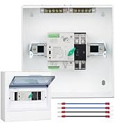 Mini Manual Transfer Switch,AC110V/240V Manual Switching, Mini Dual Power Switch for Home &amp;Genera...