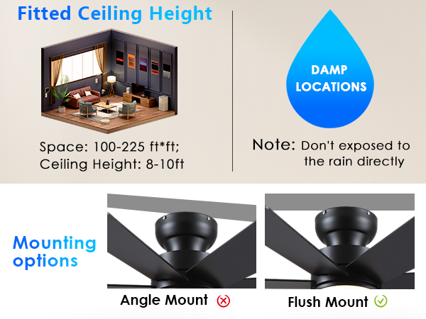 celing fan with lights indoor