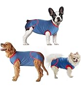 Eterish Dog Surgery Recovery Suit for Dogs, Dog Onesie for Surgery Female Male Abdominal Wound, S...