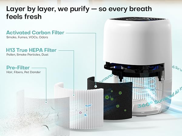 Air Purifiers Home H13 True HEPA Filter 1076 Ft² Pet Hair Odors Pollen Smoke Aroma Quiet 360°Intake