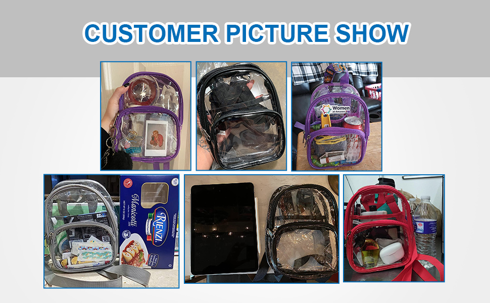 clear mini backpack