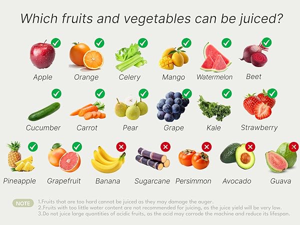 cold press juicer